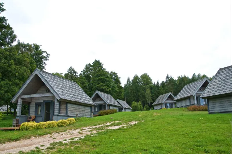 standarta majina