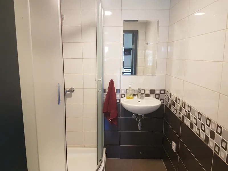 Mājiņas ar ērtībām dušas telpa ar dušas kabīni, izlietni un spoguli